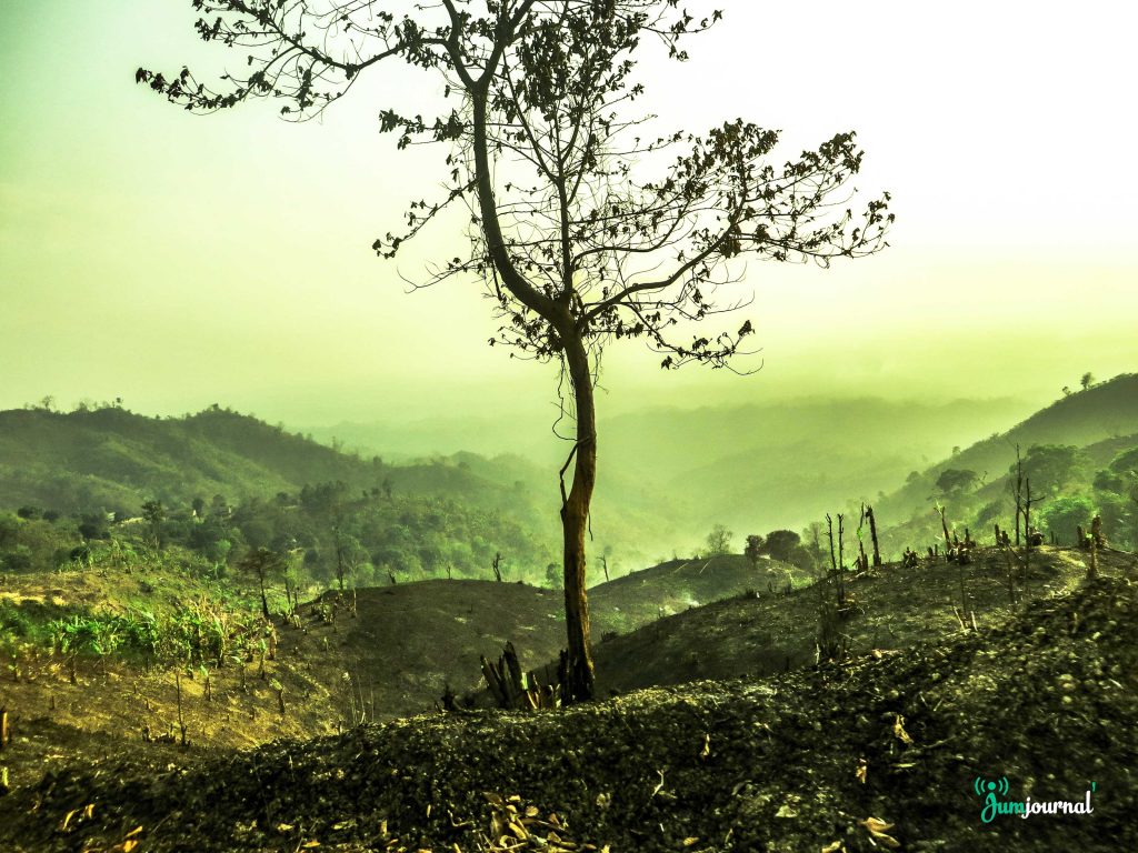 Preparation for Jum by Niswi Mong Marma