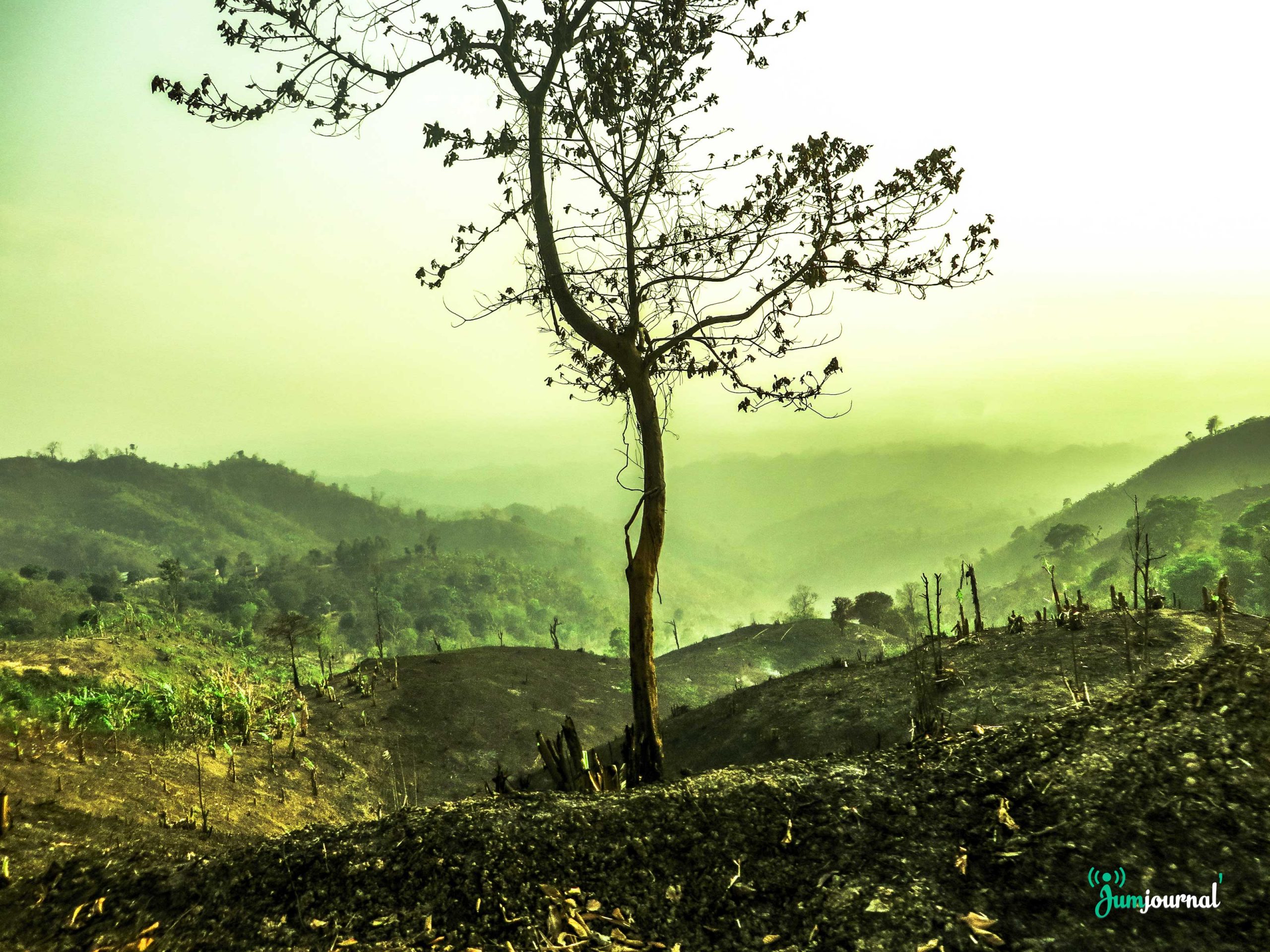 Preparation for Jum by Niswi Mong Marma