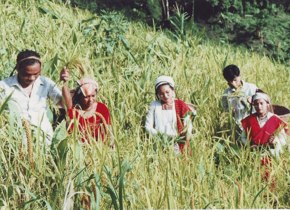 তঞ্চঙ্গ্যা জাতির সংক্ষিপ্ত ইতিহাস