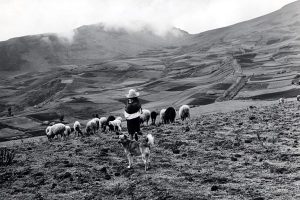 পেরু (Peru), দক্ষিণ আমেরিকা (South America)। ছবিঃ IOM / 1971