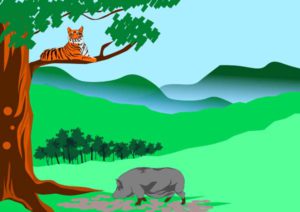 শূকর ও বাঘ