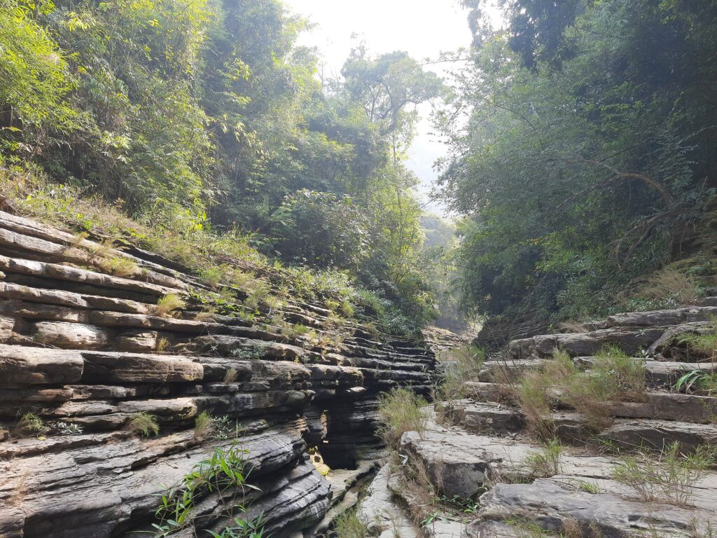 শুকনো ছড়ার বুকে ধাপে ধাপে সাজানো পাথরের স্তর, দুই পাশে গাছপালা