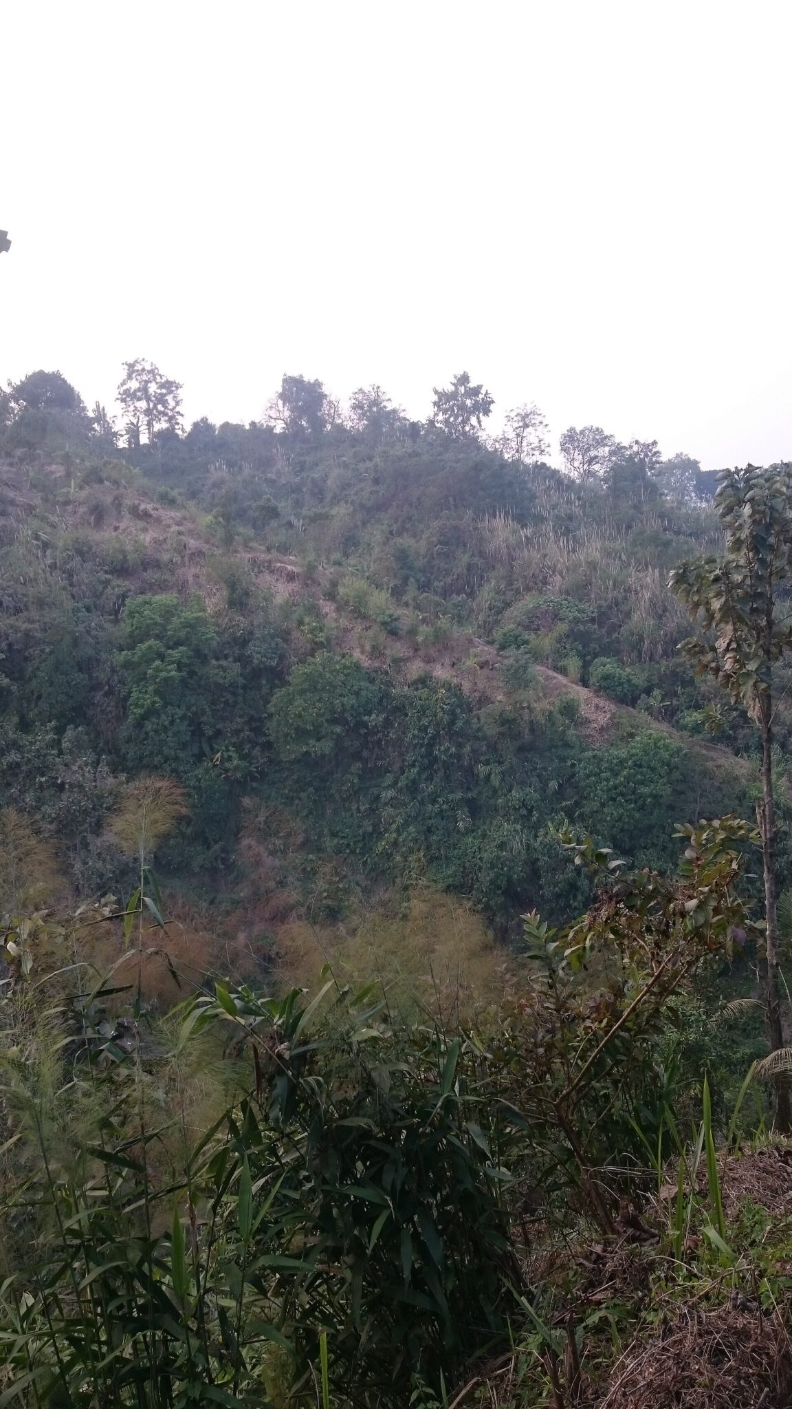 রাঙামাটি পার্বত্য জেলার পাহাড়ি ভূদৃশ্য