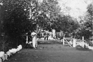টরেস প্রণালীর মারে দ্বীপ, জুন ১৯৩১