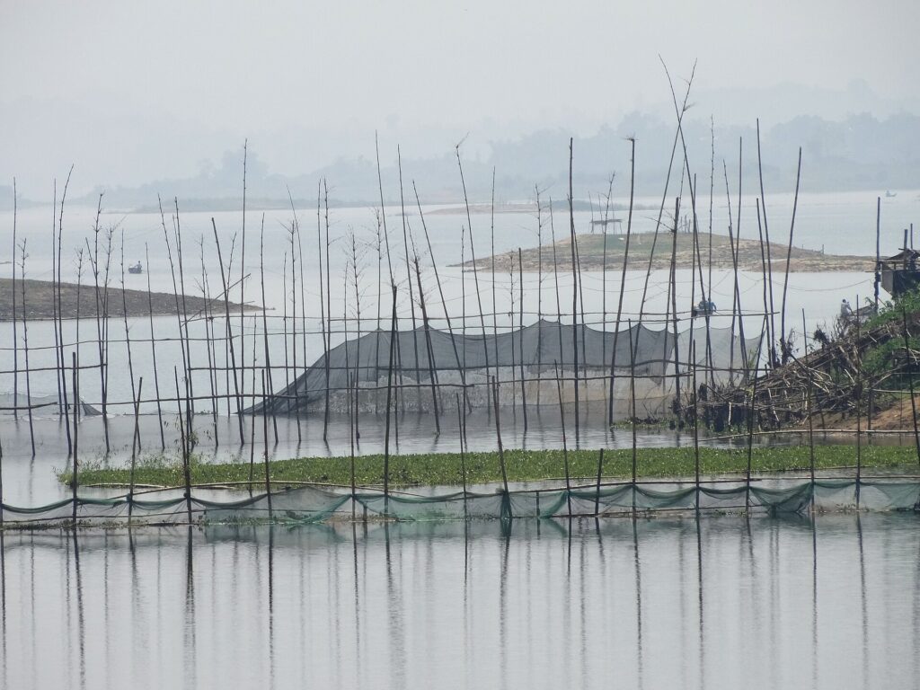 রাঙামাটিতে কাপ্তাই হ্রদের পানিতে সারি সারি বাঁশের খুঁটি আর তাতে টাঙানো মাছ ধরার জাল, পেছনে কুয়াশায় ঢাকা দ্বীপ ও পাহাড়