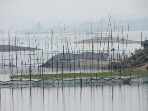 রাঙামাটিতে কাপ্তাই হ্রদের পানিতে সারি সারি বাঁশের খুঁটি আর তাতে টাঙানো মাছ ধরার জাল, পেছনে কুয়াশায় ঢাকা দ্বীপ ও পাহাড়
