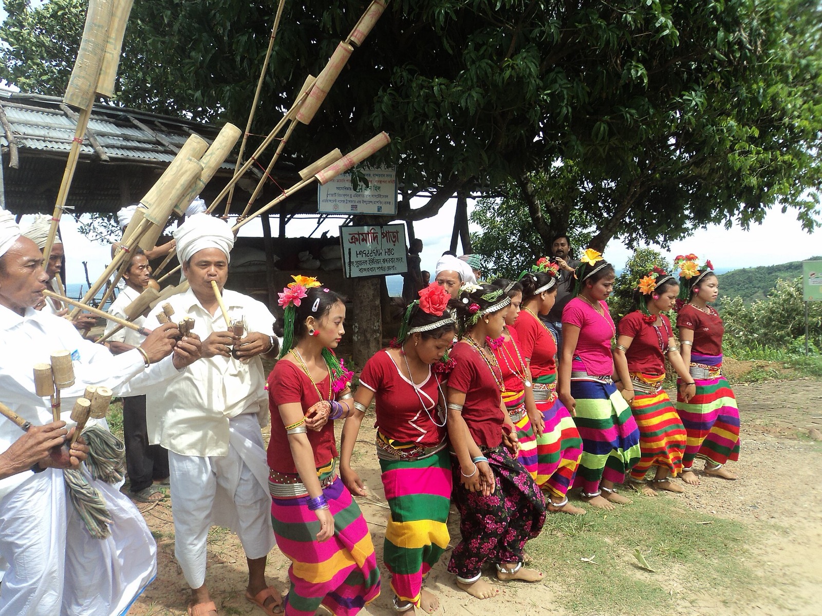 বাঁ দিকে সাদা পোশাক ও পাগড়ি পরা ম্রো পুরুষেরা লম্বা নলের প্লুং বাজাচ্ছেন, পাশে ফুল গোঁজা ও রঙিন ডোরাকাটা পোশাক পরা মেয়েরা হাত ধরে সারি বেঁধে নাচছেন