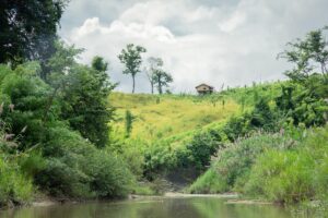 সাঙ্গু সংরক্ষিত বন এলাকায় একটি ছড়ার পাশে ঘাসে ঢাকা পরিষ্কার পাহাড়ি ঢাল, চূড়ার কাছে একটি ছোট ঘর, দুপাশে ঝোপ ও গাছ